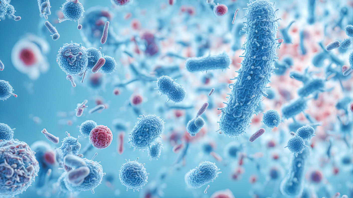 Microscopic image of bacteria